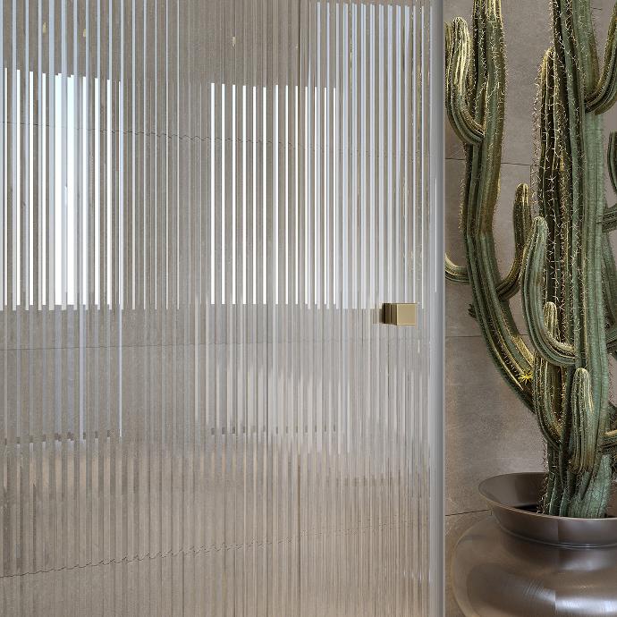 Detail of the glass doors of the shower cabin and a pot with a cactus.